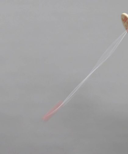 Alternative view of Paddle Ball Game