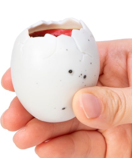 Alternative view of Dino – Squeezy Peek Hatchers