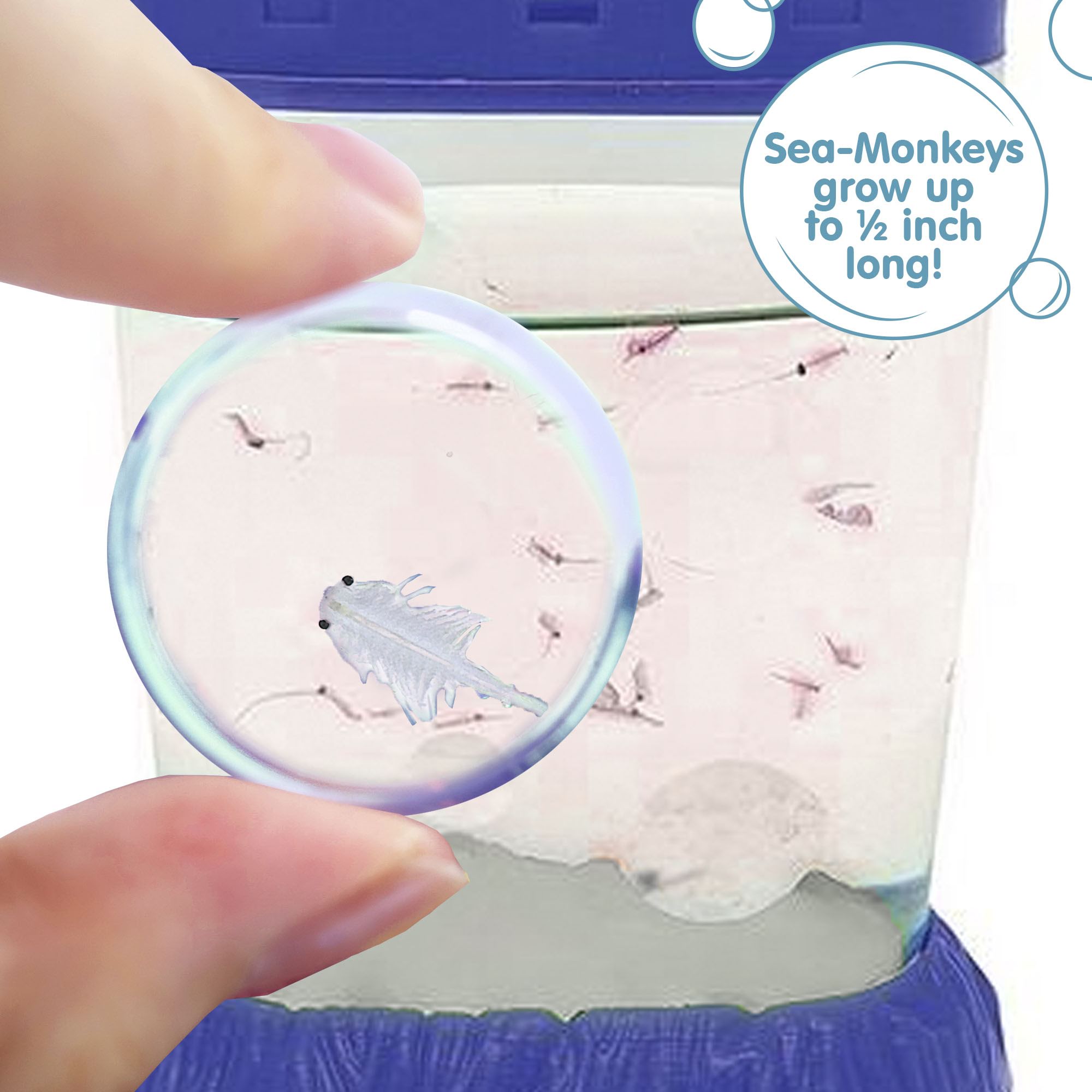 Sea-Monkeys Magiquarium - Image 4