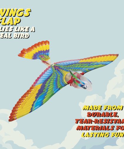 Alternative view of Tim Bird