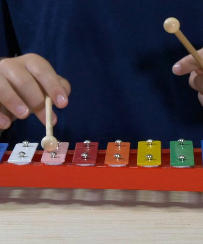 Alternative view of Wood Xylophone