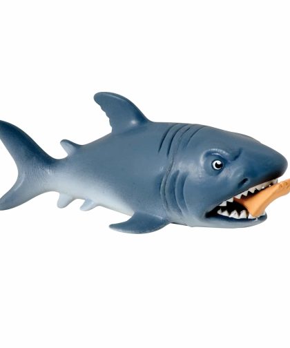 Chomp The Shark